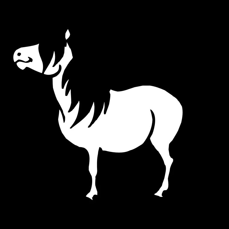 Pony