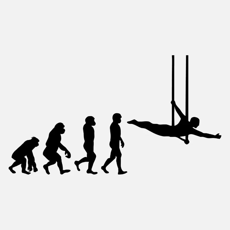 Trapèze volant Circus Gymnastique Évolution
