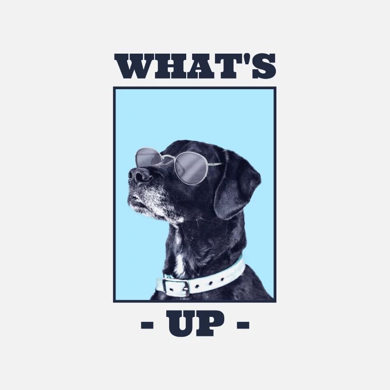 Cool dog