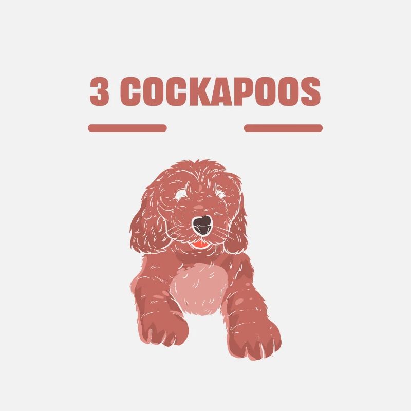 J’étais normal il y a 2 cockapoos propriétaire de chien cockapoo