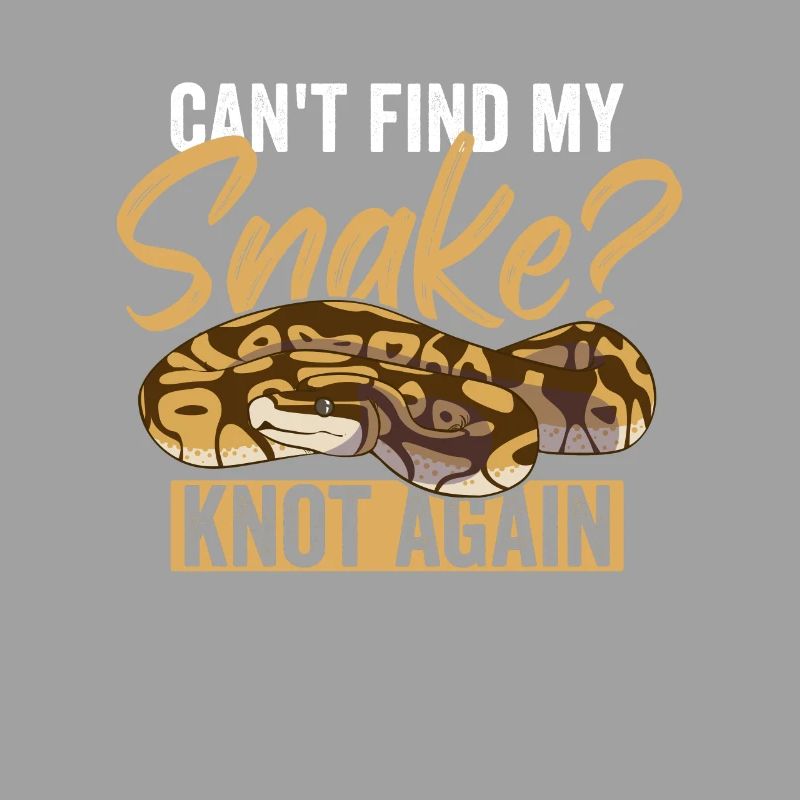 Königspython Ball Python