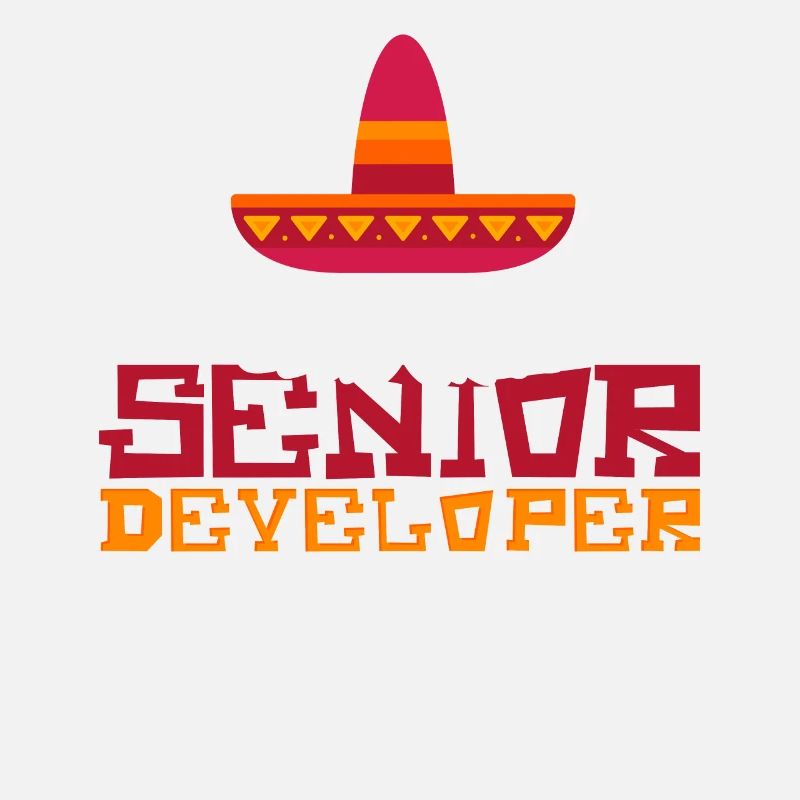 Senior Developer Programming Programmer