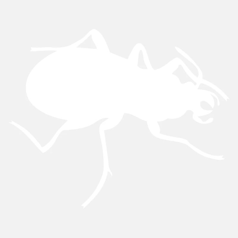 Bug