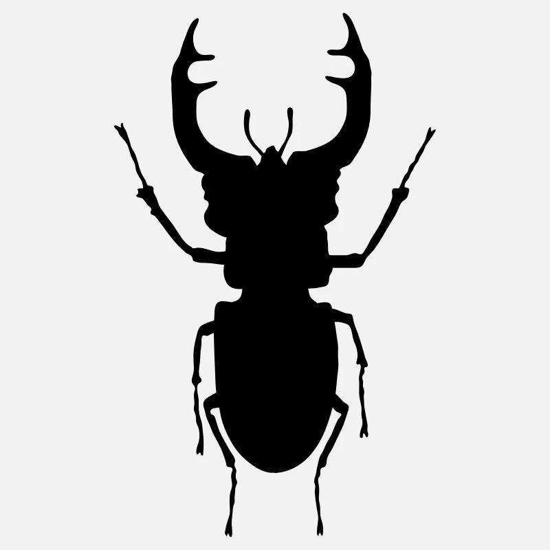 stag- beetle_c1