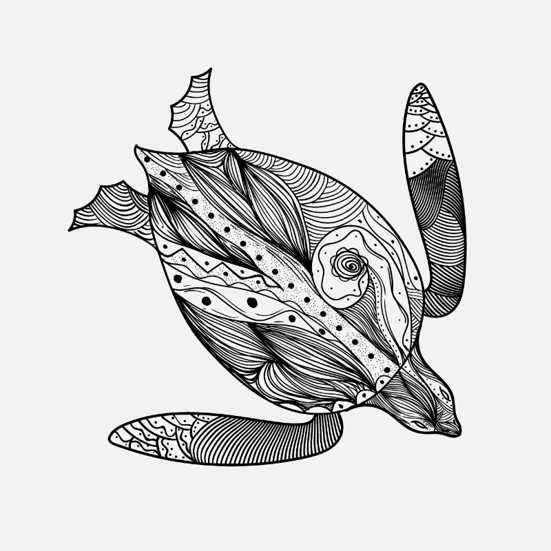 turtle
