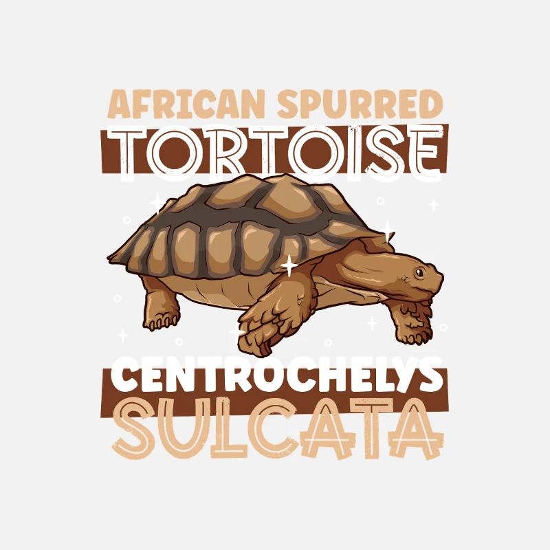 spurred tortoise