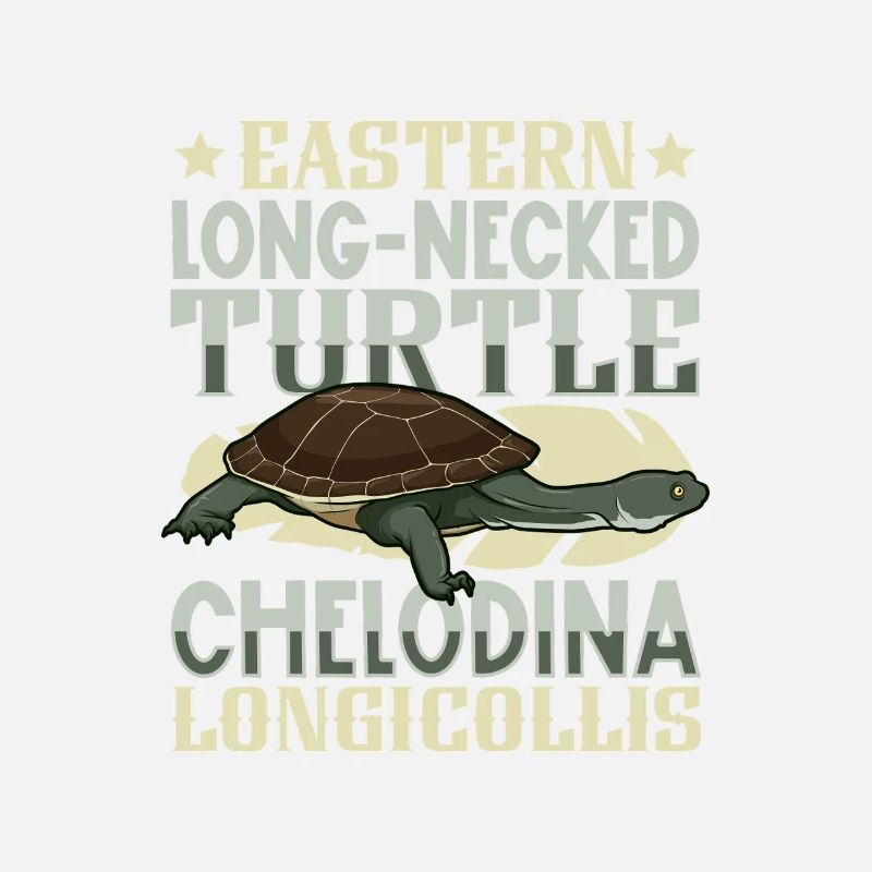 Flat-backed tortoise