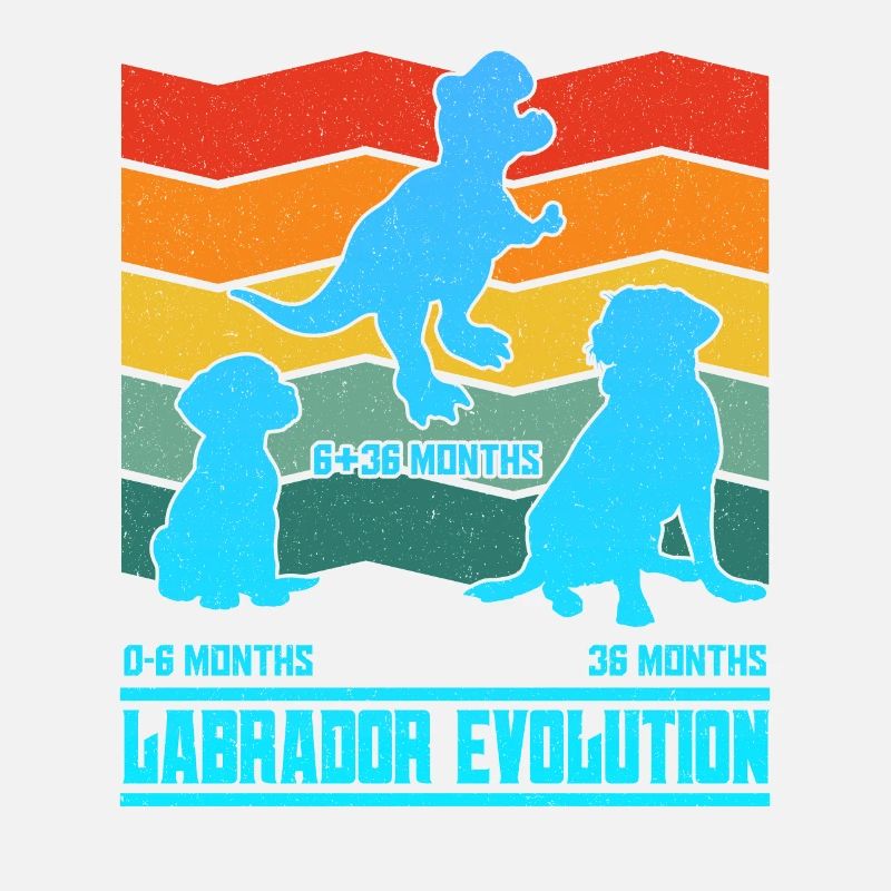 Labrador Besitzer LABRADOR EVOLUTION Lustiges