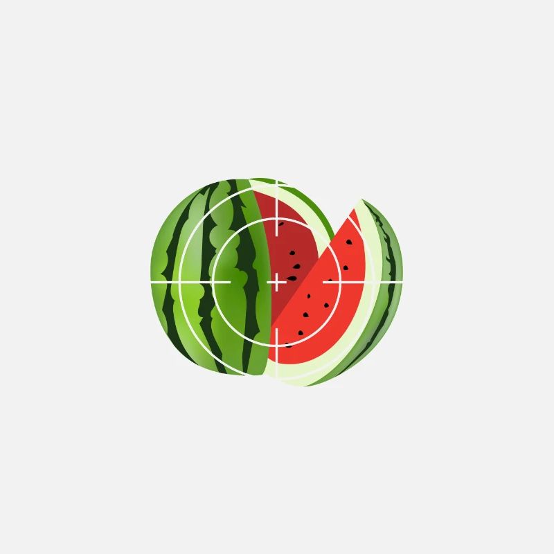 watermelon evolution développement un pastèque