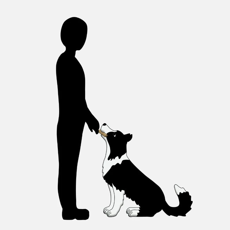 Obedience 3