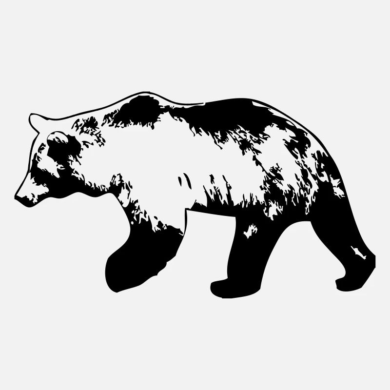 Grizzly Bär Bear