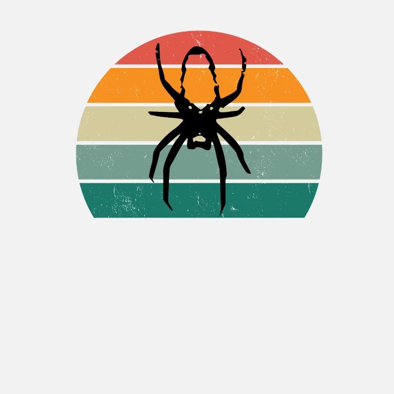 Spiders Spider web web arachnid legs 8 spider