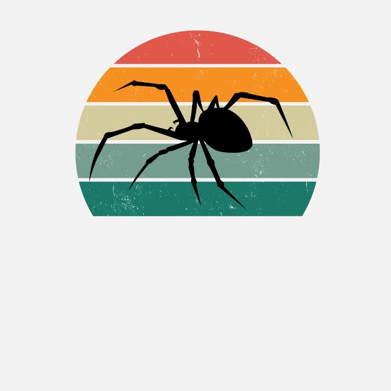 Spiders Spider web web arachnid legs 8 spider