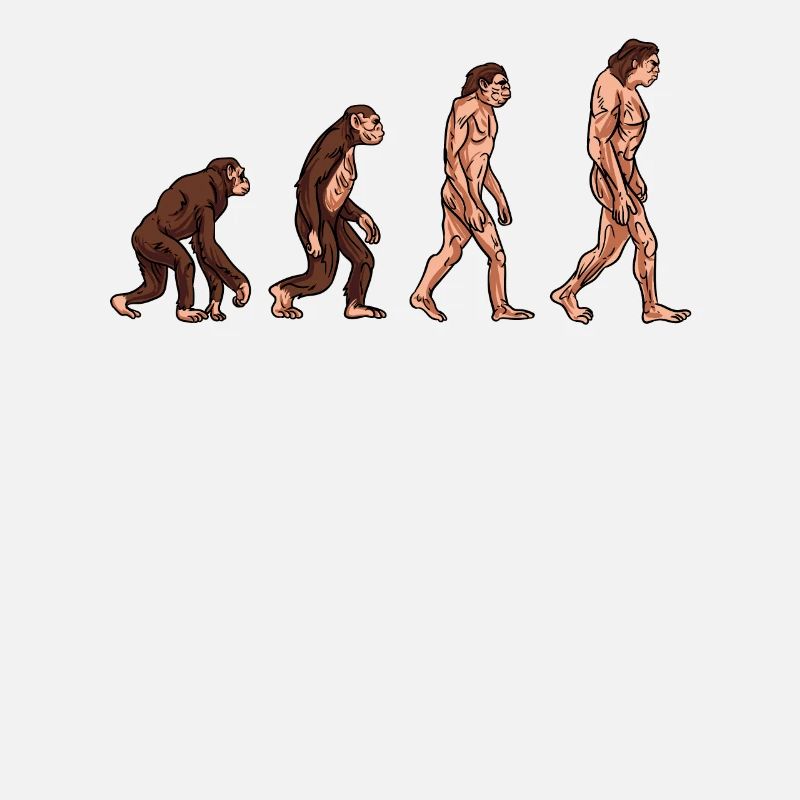 Menschliche Evolution