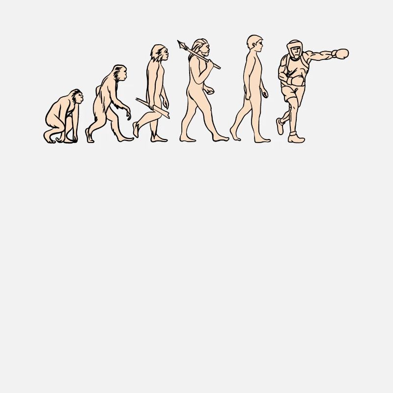 Evolution Boxing Boxing from monkey to boxer
