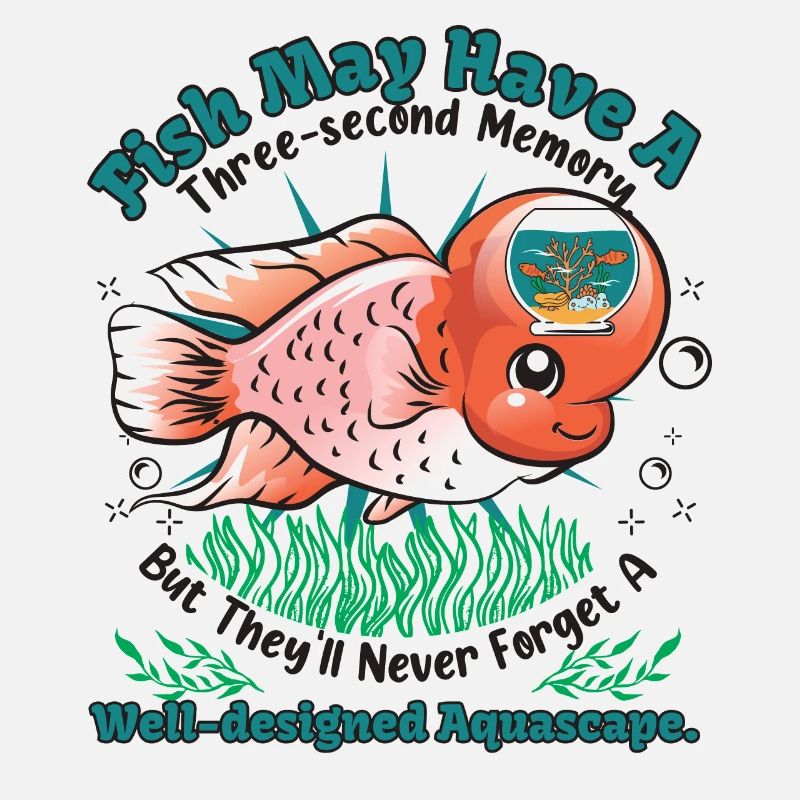 Fish may have a three-second memory