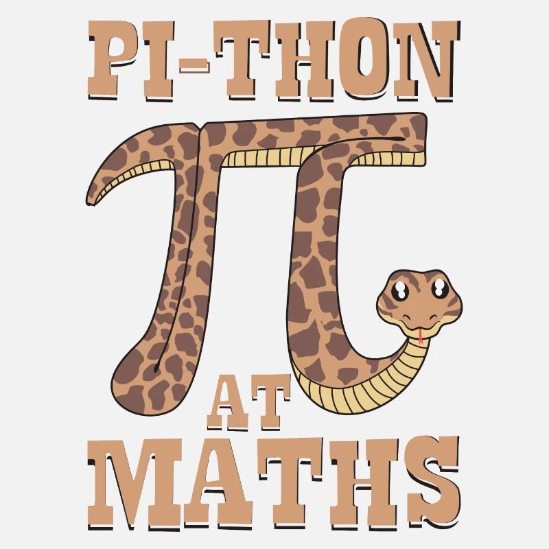 Pi-thon en maths