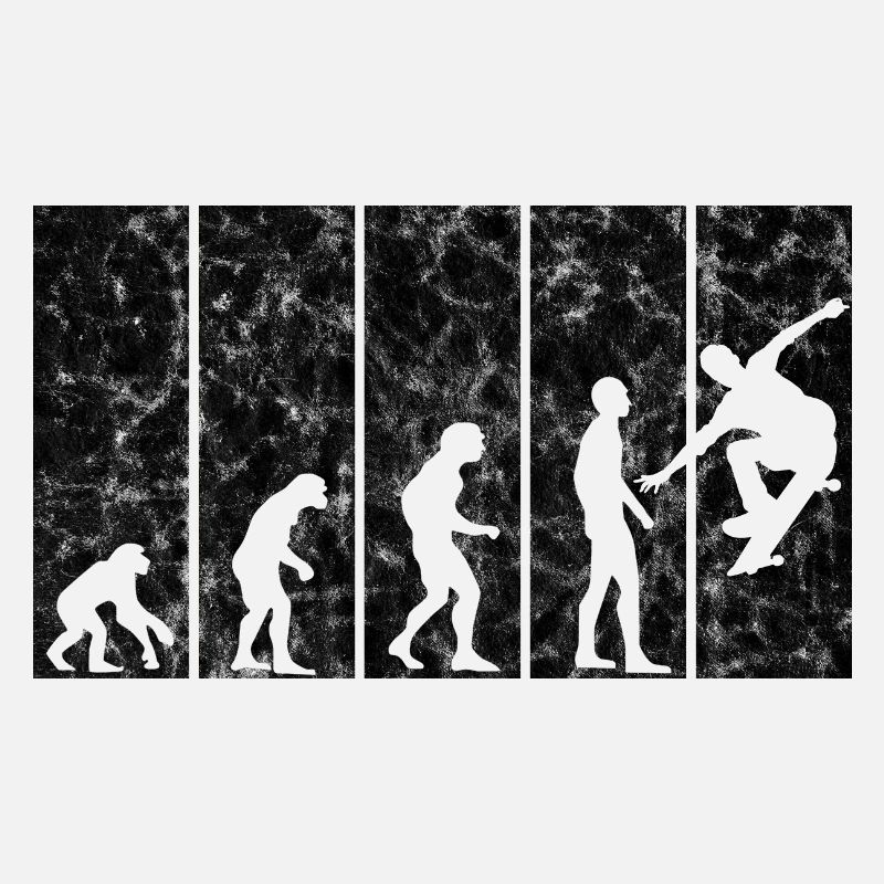 Skateboarder Skateboard Skater Skate Evolution
