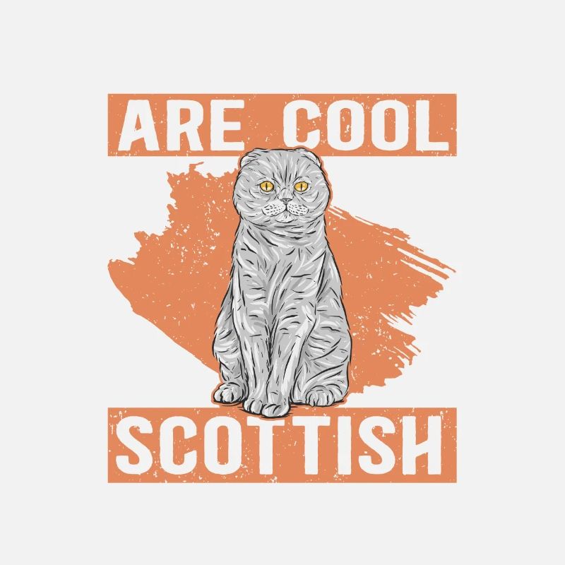 Scottish Folding Ear Cat Scottish Fold Gift