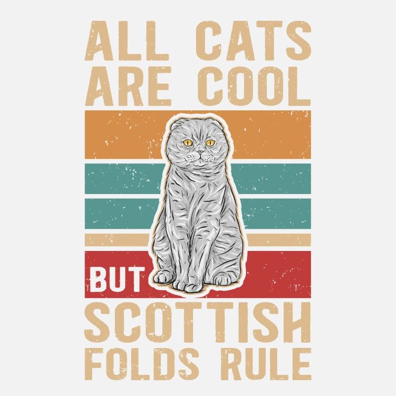 Scottish folding ear cat | Scottish Fold Gift
