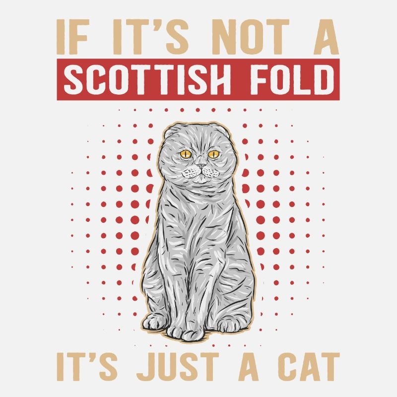 Scottish Folding Ear Cat Scottish Fold Gift