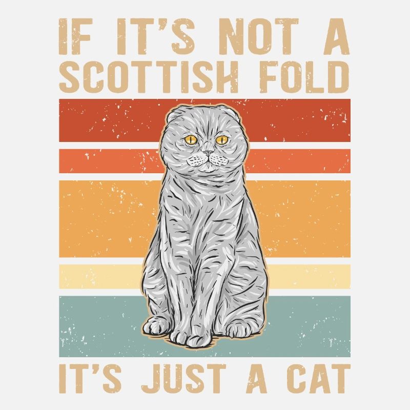 Scottish folding ear cat | Scottish Fold Gift