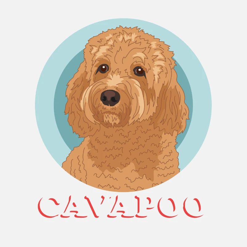 Cavapoo Cavoodle Chien Chien Propriétaire Cadeau