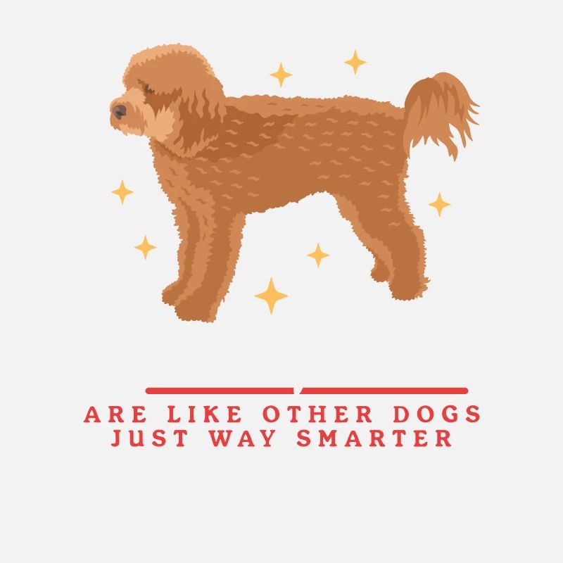 Chiens Cavapoo | Cadeau du propriétaire de chien Cavoodle