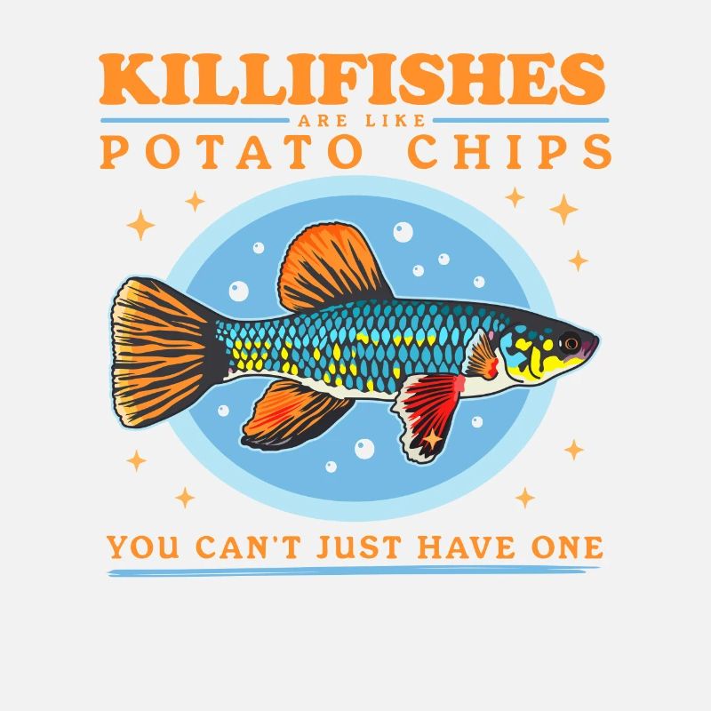 Egg-laying Toothcarp Killifish Gift