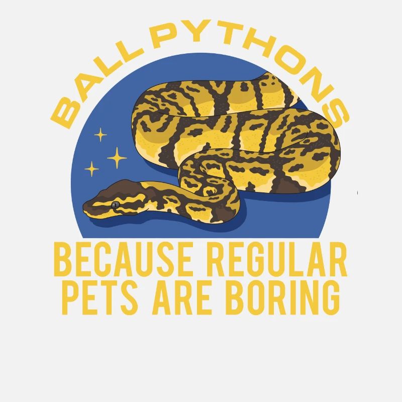 Roi Python Serpents Python Cadeau