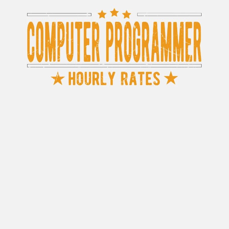 Programmeur informatique salaire horaire