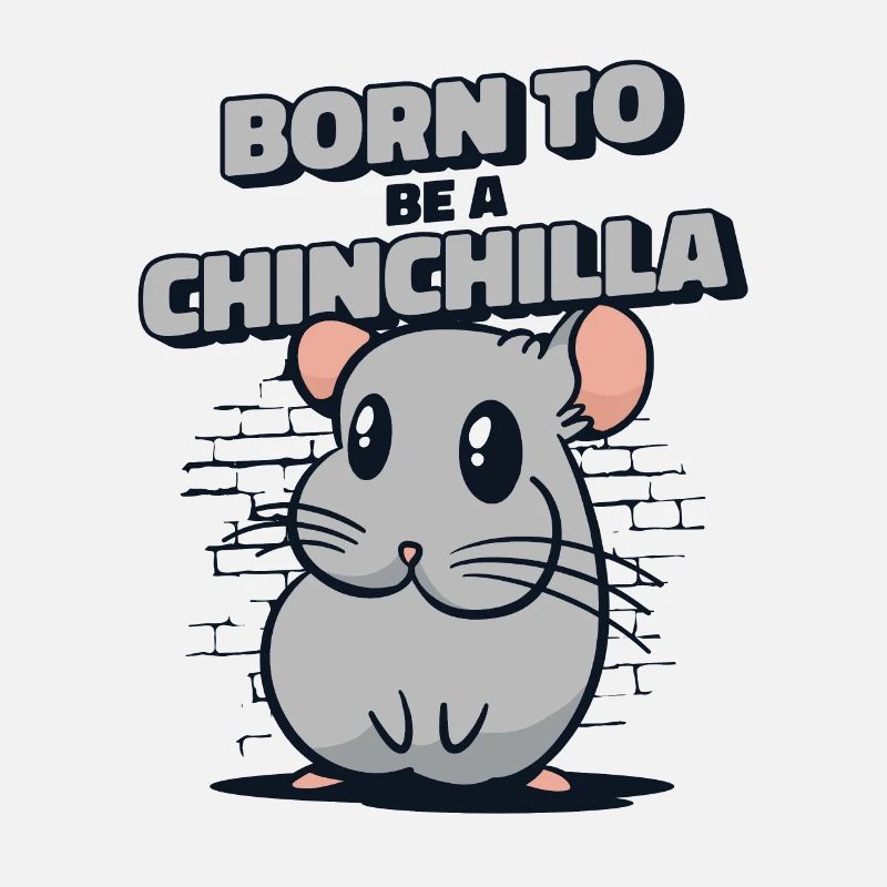 Né pour être un chinchilla à queue courte longue queue