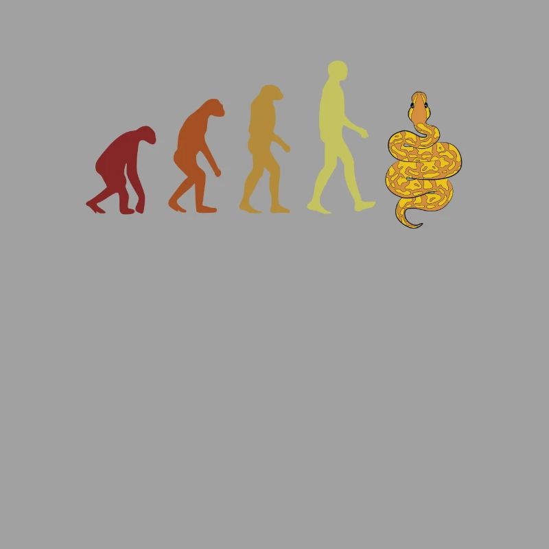 Boule de banane Python Evolution Python Boule de banane