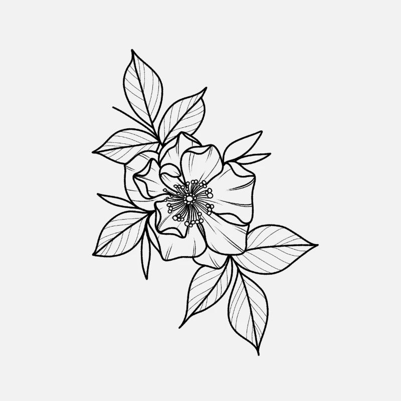 Mohn