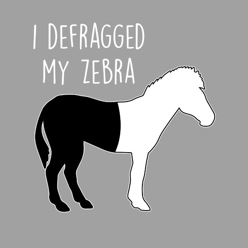 I defragged my Zebra Coder Computer Scientist Hacker