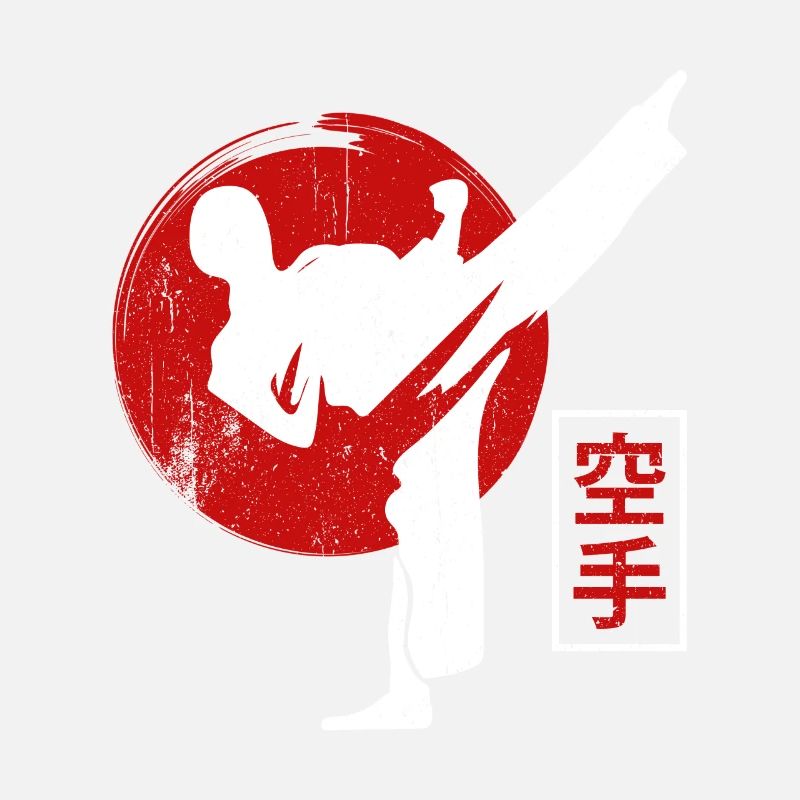 Karate Kämpfer Schwarzgurt Karate Kick