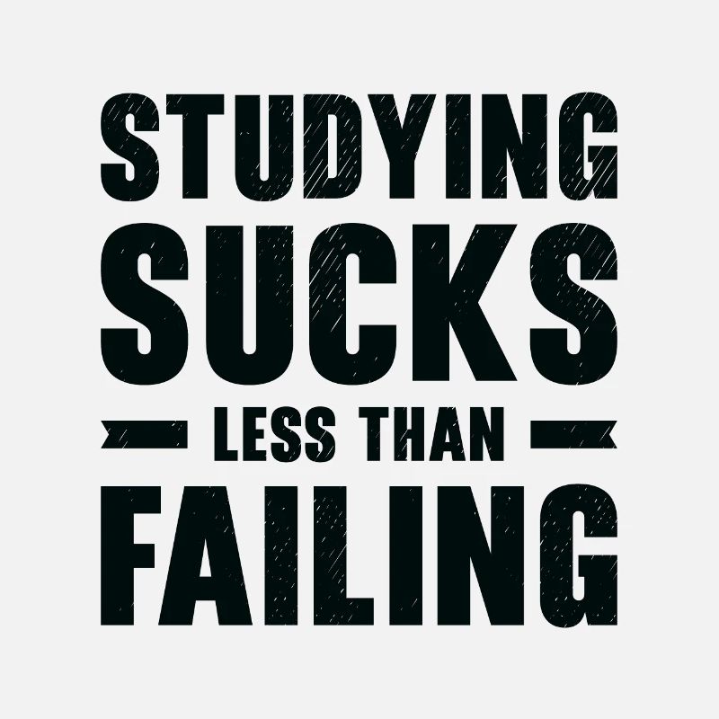 Studying Student Learning Education Lessons Study