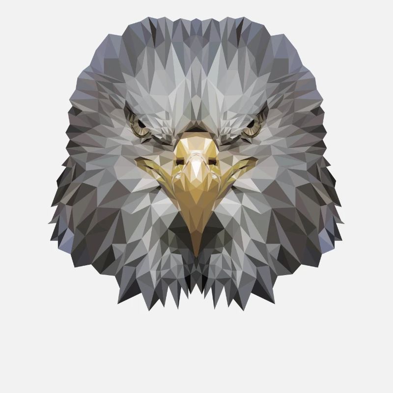 Aigle Polygone Oiseau de proie