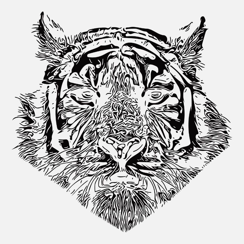 Tiger big cat with striped pattern