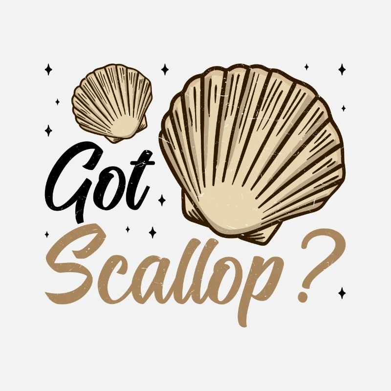 Seashell Shell Collector Scallop