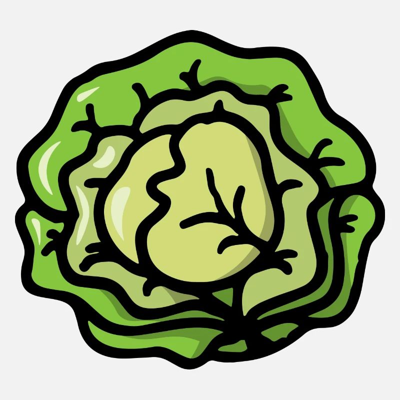 Salad cabbage vegetables - Salad cabbage vegetable