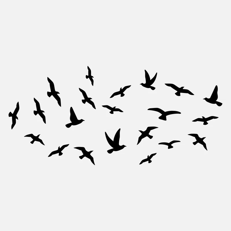 Oiseaux