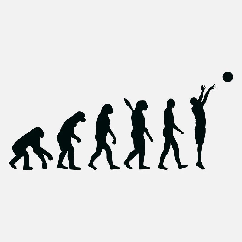 Evolution basket b