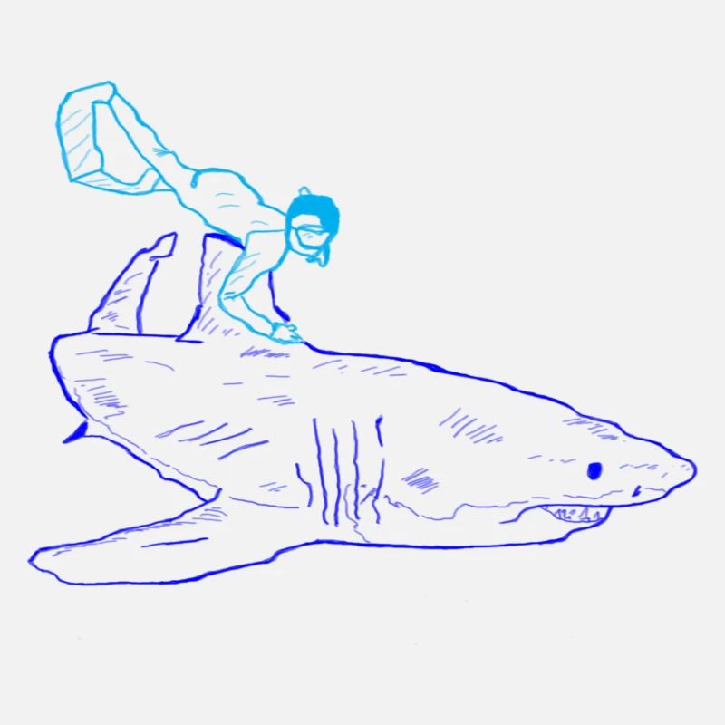 Plongeur de requins