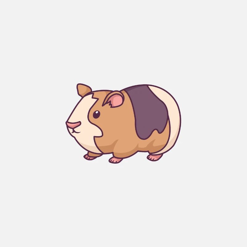 Cochon d'Inde Cochon d'Inde: Wheek! Wheek!