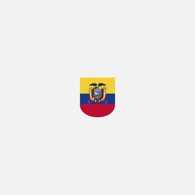 Ecuador Fans T-Shirt Design
