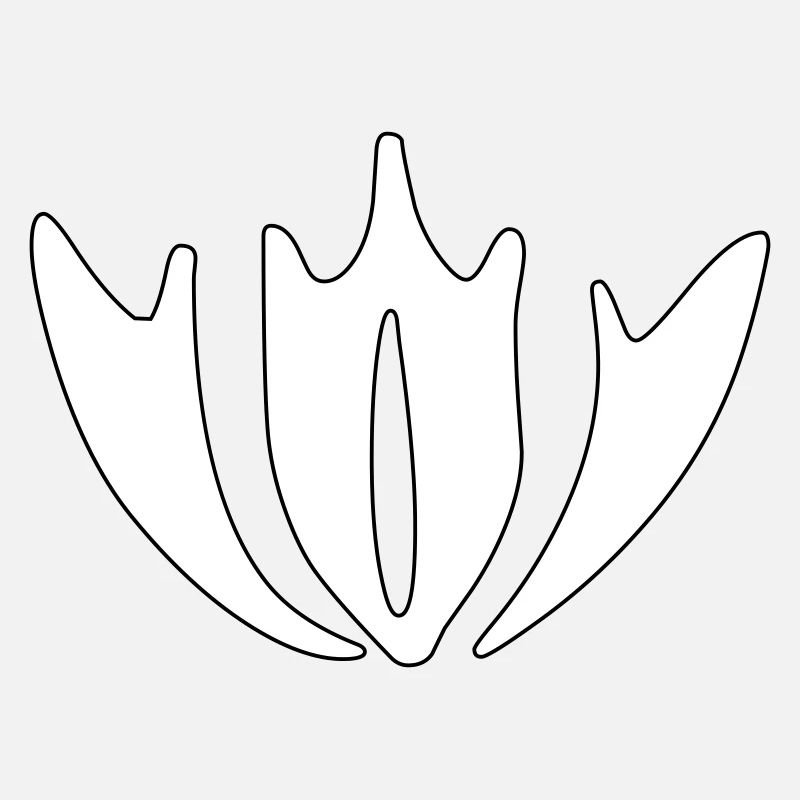Ornement Boroni 2 - Graphique vectoriel