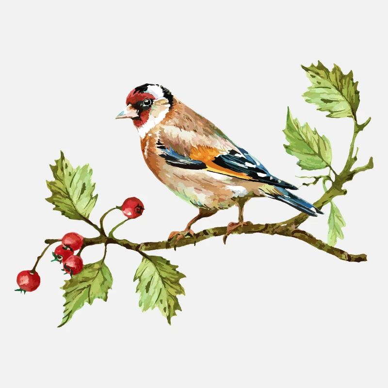 Bunter Vogel
