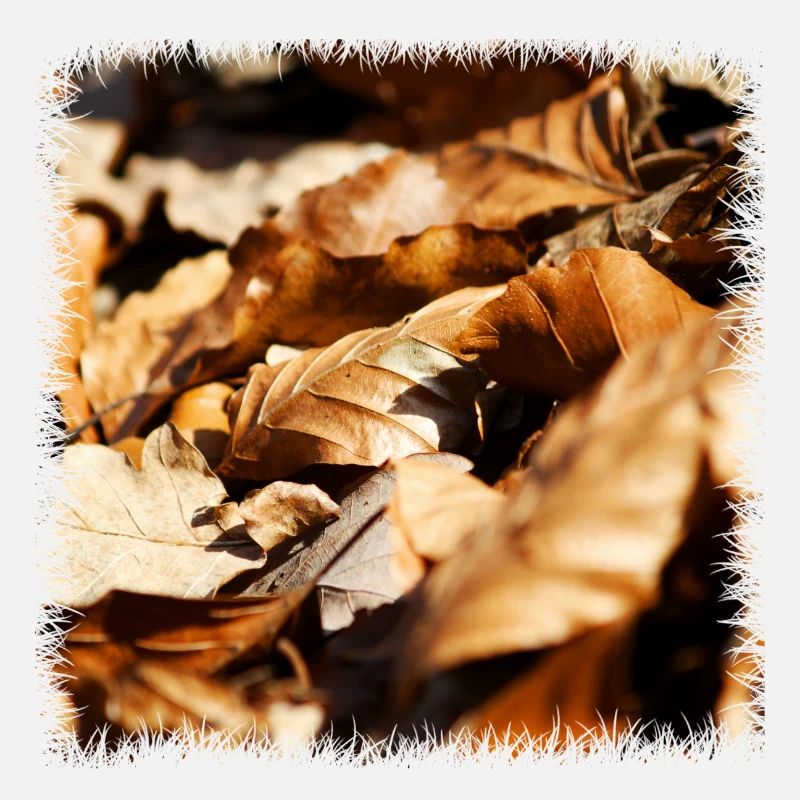 leaf