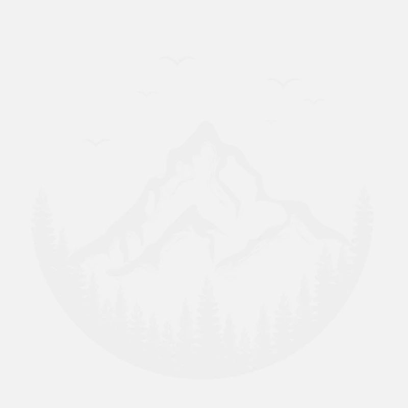Déconnectez-vous et explorez
